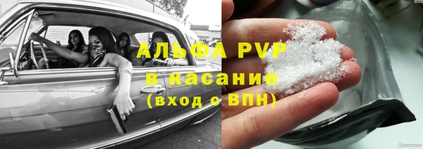 прущие грибы Сосновка