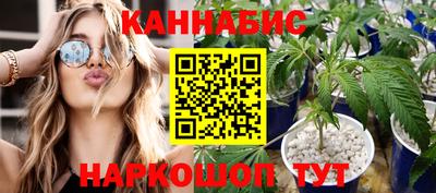 spice Шелехов